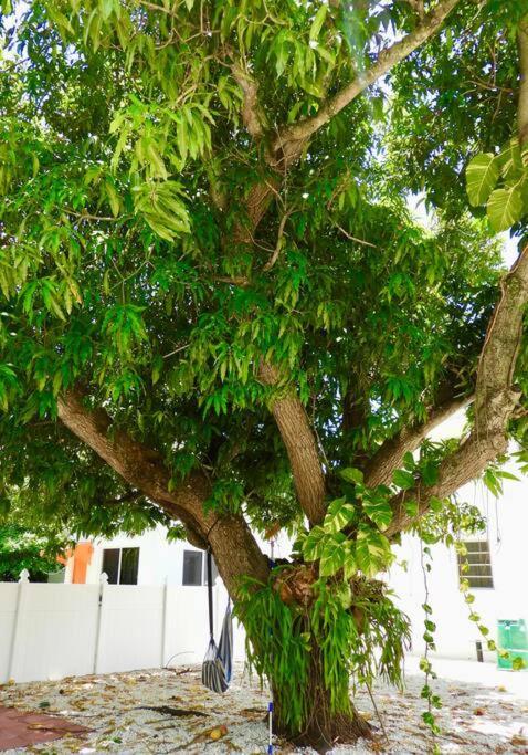 Comfy & Updated Apartment Centrally Located Minutes Away From Everything! Miami Eksteriør bilde